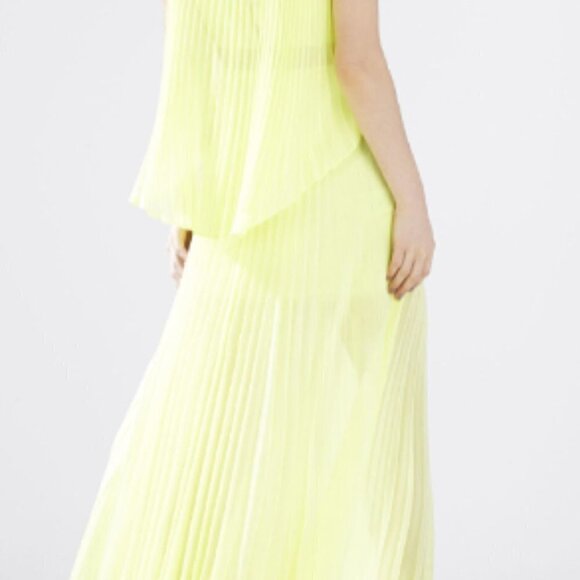 Bcbgmaxazria Shaina Sleeveless Pleated Gown - Picture 14 of 15